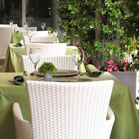 Clipper - El Delfin - Platja De Pals Torroella de Montgrí