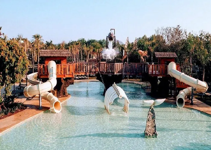 Clipper - El Delfin - Platja De Pals