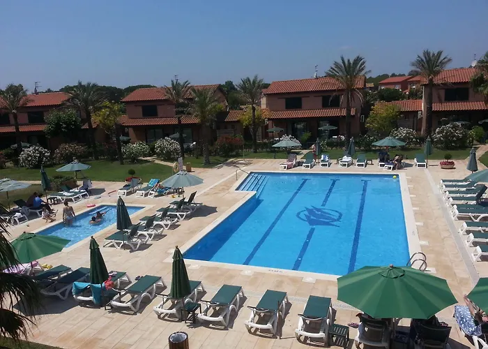 Clipper - El Delfin - Platja De Pals