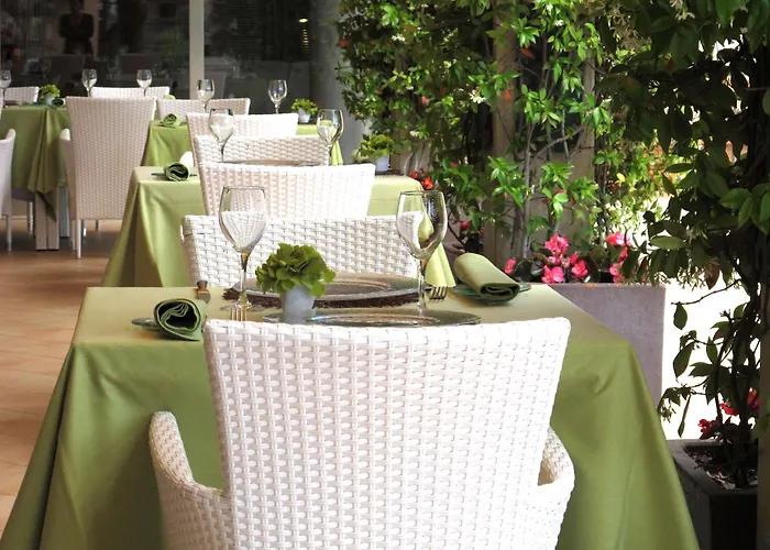 Clipper - El Delfin - Platja De Pals Torroella de Montgrí